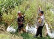 Desa Kedungsukodani Mendukung Program Ketahanan Pangan, Polri Cinta Petani