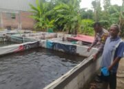 Desa Wonokupang Dukung Polresta Sidoarjo, melalui Bhabinkamtibmas mendukung program ketahanan pangan
