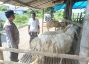Polsek Porong Patroli Sambang Desa, Dukung Ketahanan Pangan Sektor Peternakan Jelang Idul Adha