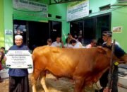 PT Agrinas Palma Nusantara (Persero) Berqurban,Salurkan Hewan Kurban di 37 Titik di Jabodetabek