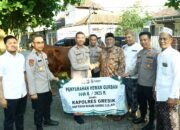 Hari Raya Idul Adha, Polres Gresik Salurkan 17 Ekor Sapi dan 83 Ekor Kambing