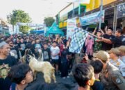 Tradisi Tahunan Parade Kambing Setiap H-1 Idul Adha Jadi Ikon Budaya Lokal