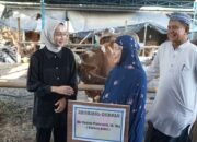 Wujud Peduli Ke Masyarakat, Mbak Wali Serahkan Sapi Hewan Kurban Ke Masjid Al Khalid