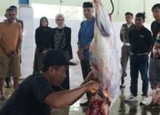 Mbak Wali Tinjau RPH Kelurahan Pojok, Pastikan Hewan Kurban Disembelih Sesuai Prosedur dan Aman Dikonsumsi