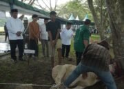 Bupati Asahan Tinjau langsung Penyembelihan 111 Hewan Qurban, di Hariraya Idul Adha 1446 H /2025 M