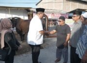 Presiden RI, Memberikan Hewan Qurban yang di Serahkan Langsung oleh Bupati Asahan ke Panitia Qurban Masjid Raya kisaran