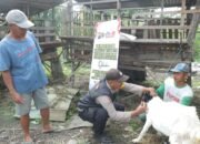 Tingkatkan Kesehatan Ternak, Polisi di Mojokerto Bripka Mulyono Berikan Vitamin Gratis Pada Domba