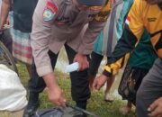 Nahas! Pria di Jember Ditemukan Meninggal Dunia Setelah Curi 9 Ekor Ayam
