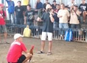Ketua Komisi II DPRD Bali Usul Tajen Dilegalkan, Gubernur Koster Tegas Menolak