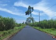 Rehabilitasi Jalan Putukrejo–Sukoraharjo Tuntas 100 Persen, Akses ke Kepanjen Makin Lancar