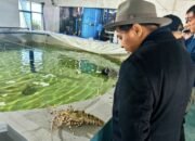 Tuntaskan Ijin di Vietnam, Gus Lilur Lengkapi Persyaratan Budidaya Lobster