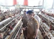 Wakil Bupati Blitar Laksanakan Kunker ke Sejumlah Peternakan Ayam