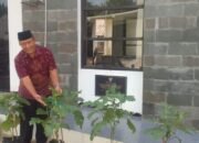 Syamsi Mufti, Kasi PHU Kemenag Purwakarta, Hijaukan Halaman Kantor dengan Cabai dan Terong