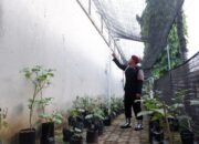 Keamanan Maksimal, Petugas Lapas Mojokerto Sisir Area Luar dan Sarana Asimilasi