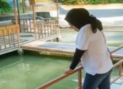Mancing dan Berenang di Kolam Renang Tajur Indah, Parakanlima: Liburan Seru Bernuansa Alam