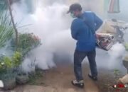 Dinkes Kabupaten Malang Imbau PSN 3M Plus Lebih Efektif daripada Fogging untuk Cegah DBD