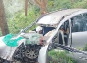 Rem Blong, Avanza Rombongan Asal Surabaya Terjun ke Jurang di Jalur Pacet-Cangar