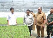 Bupati Asahan Dampingi Plt Dirjen Perkebunan Kementan RI Tinjau Lokasi Cetak Sawah di Desa Silo Bonto
