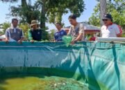 Dukung Pemberdayaan WBP dan Ketahanan Pangan, Kalapas Kediri Tebar 2.000 Bibit Lele