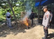 Polres Blitar Kota Bongkar dan Sita Perlengkapan Sabung Ayam di Srengat