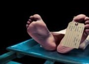Diduga Minum Racun Tikus, Dua Pria Tewas Dalam Kamar Apartemen di Denpasar