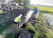 Dukung Program Swasembada Pangan, DPUPR Kota Kediri Rehabilitasi Saluran Irigasi