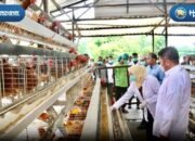 Sertifikasi Menjadi Langkah Awal Menuju Peternakan Yang Lebih Higienis Berkualitas Dan Berdaya Saing Tinggi