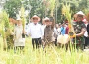Gubernur Herman Deru Akan Menjadikan Sumsel Sebagai lumbung Pangan Nasional Yang Tangguh