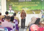 Wali Kota Mojokerto Ning Ita Turun Sawah Gunakan Combine Harvester di Panen Raya Kelurahan Gunung Gedangan
