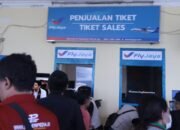 Tiket Penerbangan Jember–Jakarta Resmi Tersedia, Fly Jaya Siap Layani Penumpang