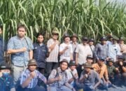 Di Hari Tani Nasional 2025, Sinergi Kuat Dengan Petani Jadi Kunci Sukses PG Ngadiredjo