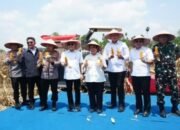 Panen Raya Jagung Serentak Kuartal III Sumsel Dukung Swasembada Pangan Nasional