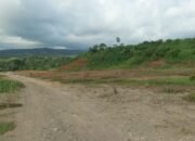 Tahun Ini Proyek Tol Gilimanuk-Mengwi Persiapan Lelang, Nilai Investasi Rp 25,4 Triliun