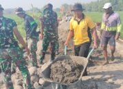 Sinergitas TNI-Polri dan Warga Sumbertanggul, Satgas TMMD 126 Kodim 0815 Lanjutkan Pembangunan TPT