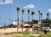 Tuai Protes, Penanaman Pohon Kelapa di Pantai Tanjung Benoa Terungkap