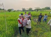 Warga Blumbang Maduran Ditemukan Tewas di Persawahan Diduga Kesetrum Jebakan Tikus