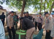 Polres Pasuruan Bersihkan Arena Sabung Ayam di 2 Lokasi, Pemilik Lahan Tanda Tangani Surat Pernyataan
