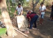 Respon Aduan Warga, Polres Gresik Grebek Arena Sabung Ayam di Menganti dan Amankan Barang Bukti