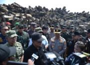 Kepala BPKP RI Apresiasi Satgas PKH Ungkap Kasus Illegal Logging Rp 240 Miliar di Gresik