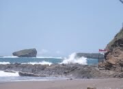 Legenda Watu Ulo, Simbol Budaya Pesisir Jember