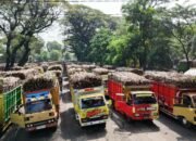 PG Ngadiredjo Siap Cetak Sejarah dan Optimistis Bisa Menggiling Tebu 10 Juta Kuintal