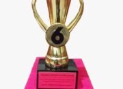 Lima Penghargaan Nasional dalam Dua Pekan, Bukti Kepemimpinan Transformatif Bupati Jember