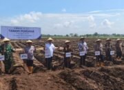 Sukseskan Swasembada Gula, PT SGN PG Meritjan Sukseskan Tanam Perdana Program Bongkar Ratoon