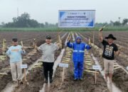 Tanam Perdana Program Bongkar Ratoon PG. Ngadirejo Kebun Ngadiluwih dan Nyawangan Kab.Kediri