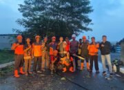 Polsek Tulangan Turun Bareng Evakuasi Pohon Tumbang di Jalan Raya