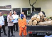 Kembali Berulah, Residivis Penebang Kayu Jati di Hutan Cekik Ditangkap 