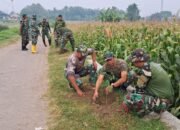 Satgas TMMD ke-126 Kodim 0815/Mojokerto Tanam 1.000 Pohon Wujudkan Lingkungan Hijau dan Lestari