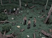 20 Ribu Pohon Kopi PTPN I di Ijen Ditebang OTK: Kebun Negara Terancam, Keamanan Lahan Dipertanyakan