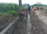 Kembalikan Fungsi Tampungan Air Dan Memperlancar Irigasi kawasan Persawahan Dinas PUPR Kota Kediri Rehabilitasi di Ngletih