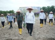 Forkopimda Asahan Bersatu Dukung Gerakan Tanam Padi Gogo Kodim 0208/Asahan
